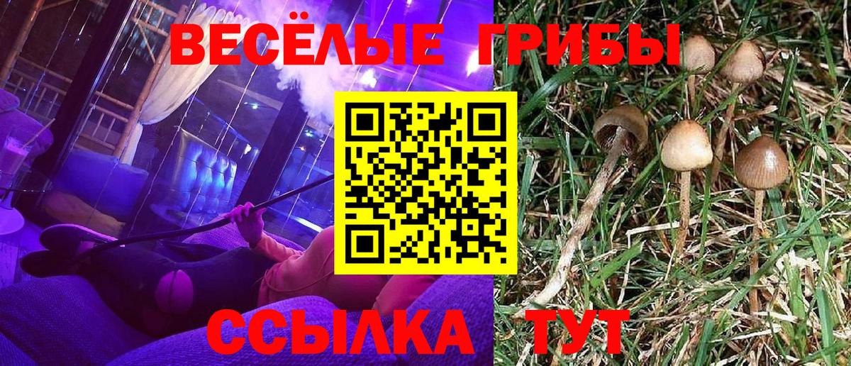 Мытищи  Псилоцибиновые грибы Magic Shrooms  Вход с VPN 